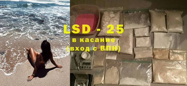 ECSTASY Алзамай
