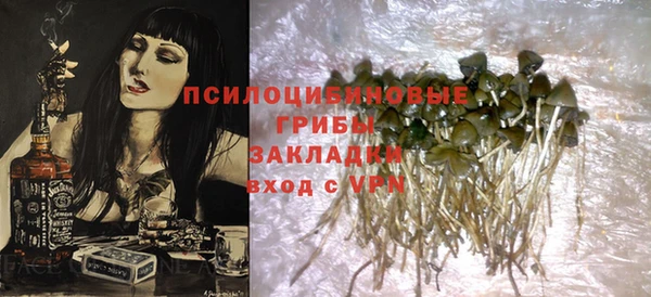 ECSTASY Алзамай