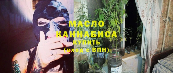 ECSTASY Алзамай